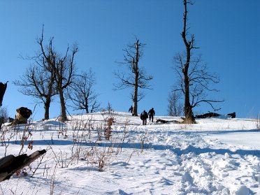 2003.02.22 - Tura29 Malé Karpaty - Skalnatá