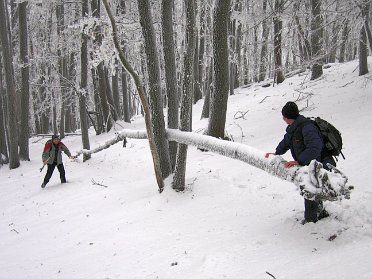 2004.12.10 - Tura50 Tríbeč