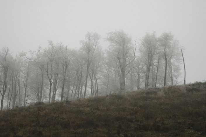 CRW_0197