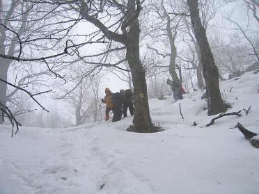 2005.02.12 - Tura53 Malé Karpaty - Zvernica