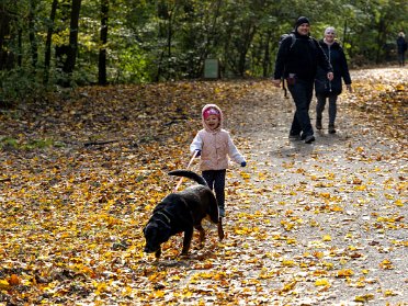 2023.10.29 - Nad Bratislavou Vychádzka Bratislava - Koliba a bunker