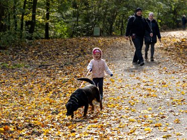 2023.10.29 - Nad Bratislavou Vychádzka na Kolibu